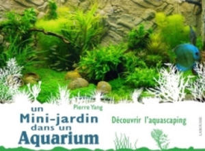 Un mini jardin dans un aquarium - 2867594728