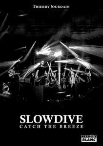 Slowdive - 2867607053