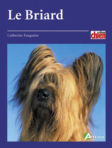 Le briard - 2872353144