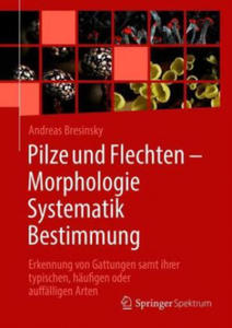 Pilze und Flechten ? Morphologie, Systematik, Bestimmung - 2875803725