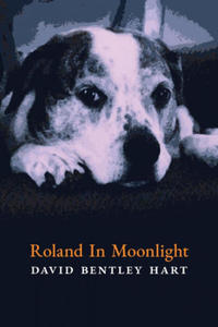 Roland in Moonlight - 2861893946