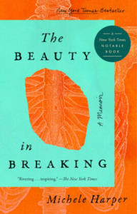 Beauty In Breaking - 2865320445