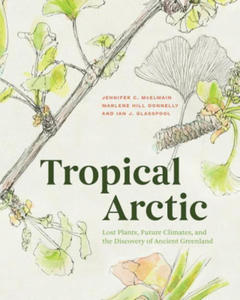 Tropical Arctic - 2866245701