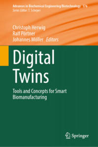 Digital Twins - 2867149629