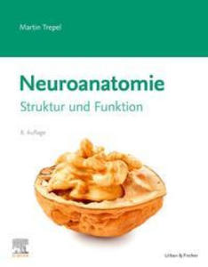 Neuroanatomie - 2865201707