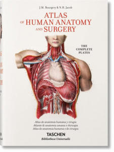 Bourgery. Atlas de anatoma humana y ciruga - 2878619943