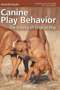 Canine Play Behavior - 2867237096