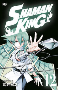 SHAMAN KING Omnibus 7 (Vol. 19-21) - 2867358173