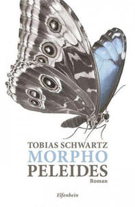 Morpho peleides - 2864076639