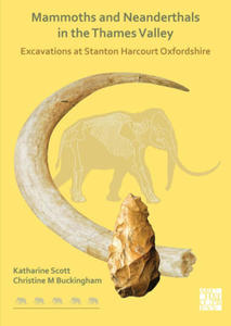 Mammoths and Neanderthals in the Thames Valley - 2865793293