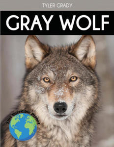 Gray Wolf - 2868353039