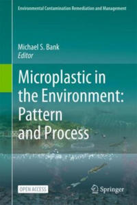 Microplastic in the Environment: Pattern and Process - 2878086713