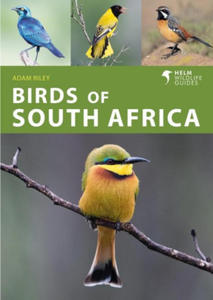Birds of South Africa - 2878317763