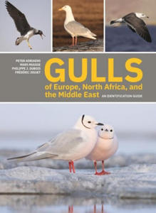 Gulls of Europe, North Africa, and the Middle East - 2872201042