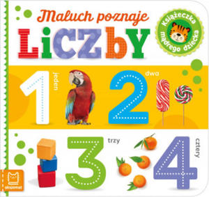 Maluch poznaje liczby. Ksieczka mdrego dziecka - 2877775843