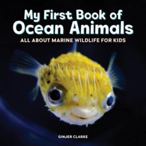 My First Book of Ocean Animals: All about Marine Wildlife for Kids - 2878080297