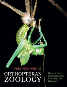 Orthopteran Zoology - 2876460781