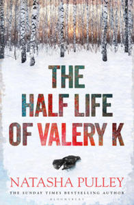 Half Life of Valery K - 2869441975