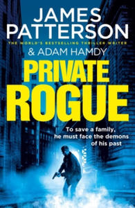 Private Rogue - 2868445806