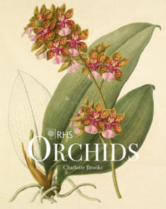 RHS Orchids - 2868822001