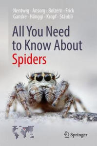 All You Need to Know About Spiders - 2870038318