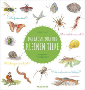 Das groe Buch der kleinen Tiere - 2877635868