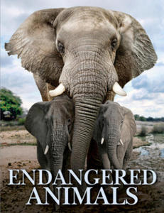 Endangered Animals - 2878787764