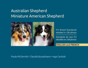 Australian Shepherd, Miniature American Shepherd - 2866234268