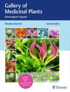 Gallery of Medicinal Plants - 2874292093