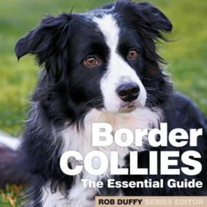 Border Collies - 2866879566