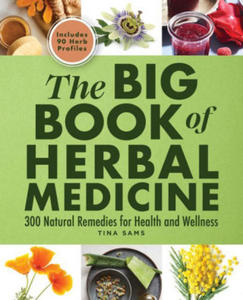 The Big Book of Herbal Medicine: 300 Natural Remedies for Health and Wellness - 2877406062