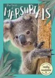 Lives of Marsupials - 2878428209