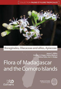 Boraginales, Olacaceae and allies, Apiaceae - Flore de Madagascar et des Comores - 2874447306