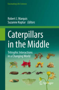 Caterpillars in the Middle - 2869945742