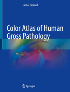 Color Atlas of Human Gross Pathology - 2877633319