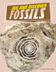 Dig and Discover Fossils - 2873999382