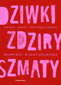 Dziwki, zdziry, szmaty. Opowieci o slut-shamingu - 2873998982