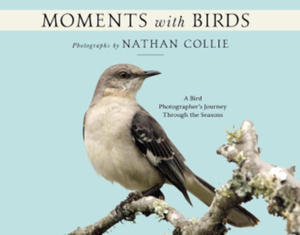 Moments with Birds: A Bird Photographer's Journey Through the Seasons - 2873999358