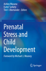 Prenatal Stress and Child Development - 2875137084