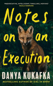 Notes on an Execution - 2872529556