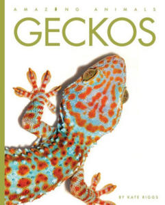 Kniha Geckos - 2877971374