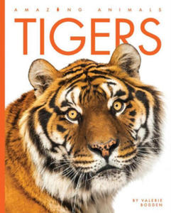 Kniha Tigers - 2876942280