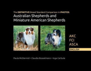 DEFINITIVE Breed Standard Comparison in PHOTOS for Australian Shepherds and Miniature American Shepherds - 2872569072