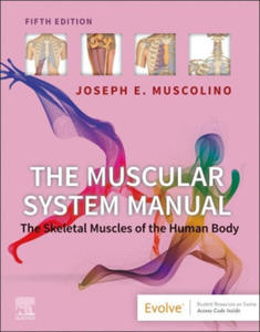 The Muscular System Manual - 2874074502