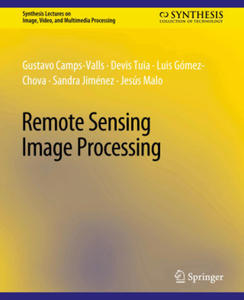 Remote Sensing Image Processing - 2877641486