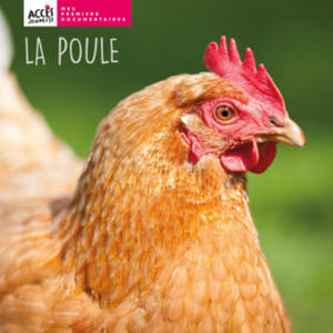 LA POULE - 2872565644