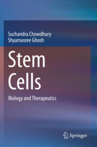 Stem Cells - 2871610007