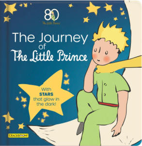 Little Prince's Odyssey - 2878445257