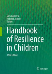 Handbook of Resilience in Children - 2873486834