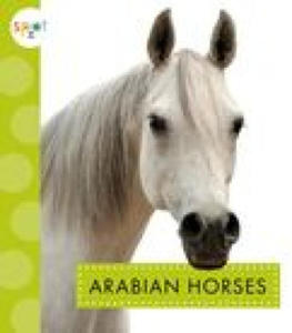 Arabian Horses - 2876326577